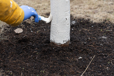 Similar image 21446976