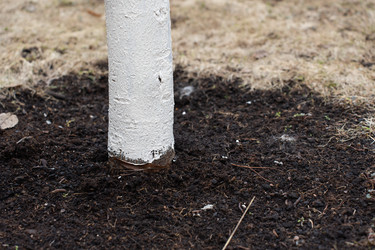 Similar image 21446977