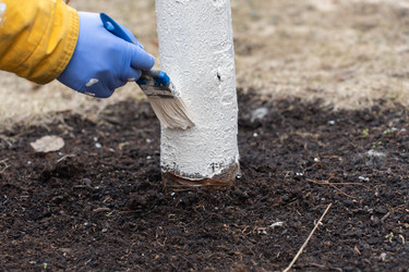 Similar image 21446978