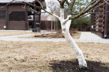 Similar image 21446979