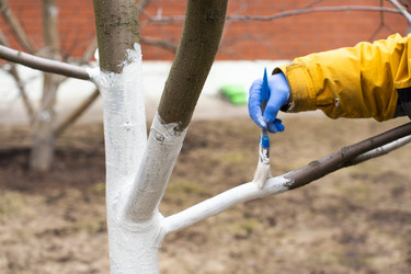 Similar image 21446981