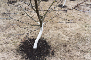 Similar image 21446983