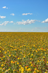 Similar image 21455082