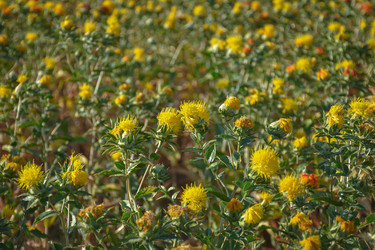 Similar image 21455084