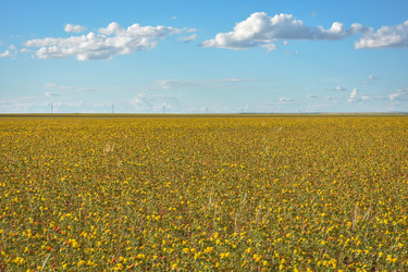 Similar image 21455086