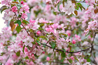 Similar image 21455094