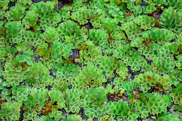 Similar image 21455097