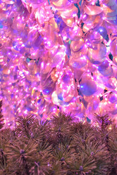 Similar image 21455113