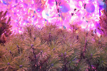 Similar image 21455117