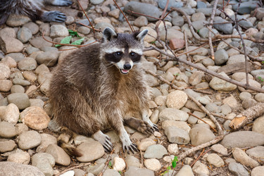 Similar image 21455123