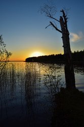 Similar image 21455125