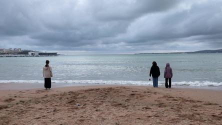 Similar image 21446985