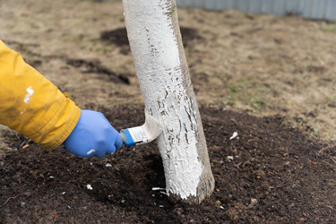 Similar image 21446989