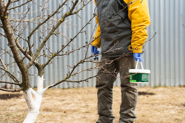 Similar image 21446990