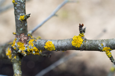 Similar image 21446991