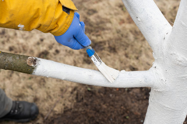 Similar image 21446992