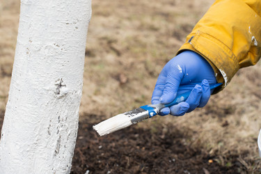 Similar image 21446993