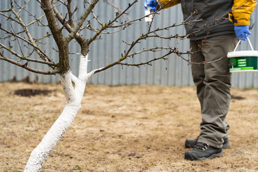 Similar image 21446995