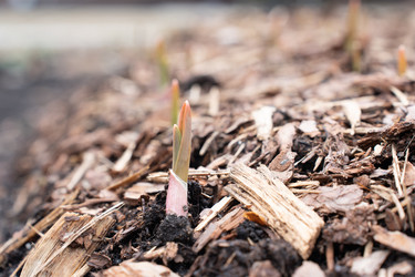 Similar image 21446996