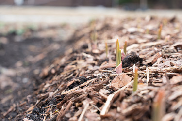 Similar image 21446997