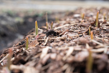 Similar image 21446998