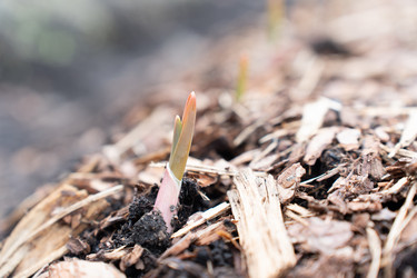 Similar image 21446999