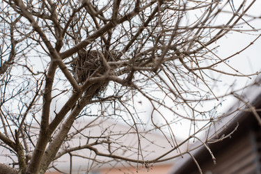 Similar image 21447355