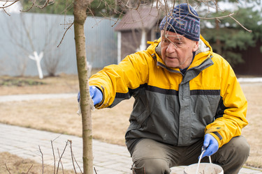 Similar image 21447356