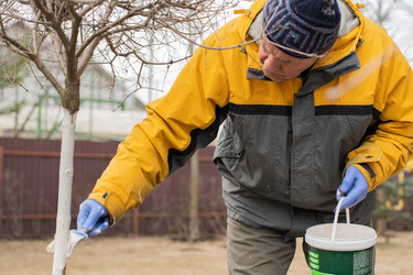 Similar image 21447357