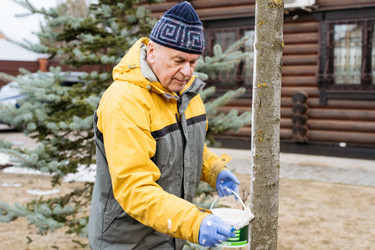 Similar image 21447360