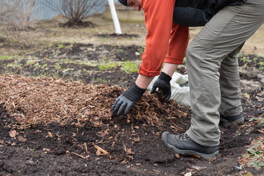 Similar image 21447362