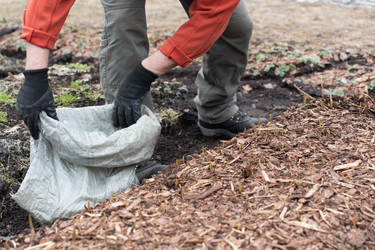 Similar image 21447365