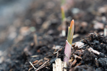 Similar image 21447367