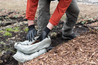 Similar image 21447368