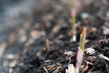 Similar image 21447369