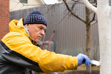 Similar image 21447370