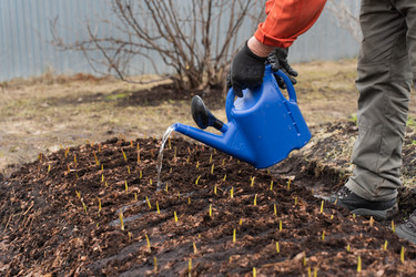 Similar image 21447374