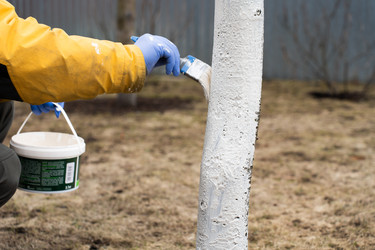 Similar image 21447375