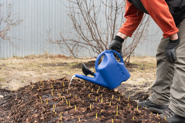 Similar image 21447376