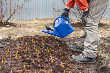 Similar image 21447377