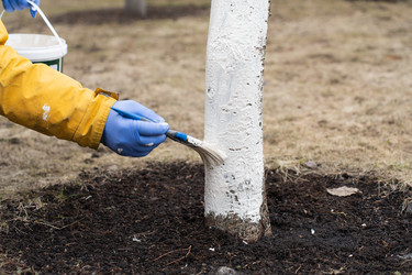 Similar image 21447378