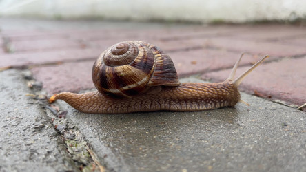 Similar image 21447383