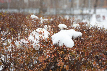 Similar image 21457097