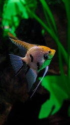 Similar image 21457098