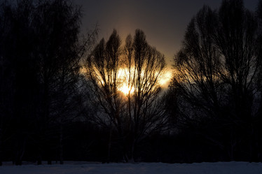 Similar image 21457105