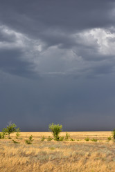 Similar image 21457106