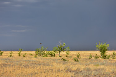 Similar image 21457109