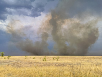 Similar image 21457114