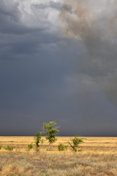 Similar image 21457117