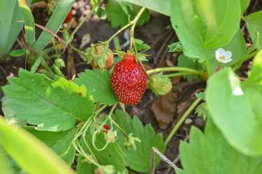 Similar image 21457121